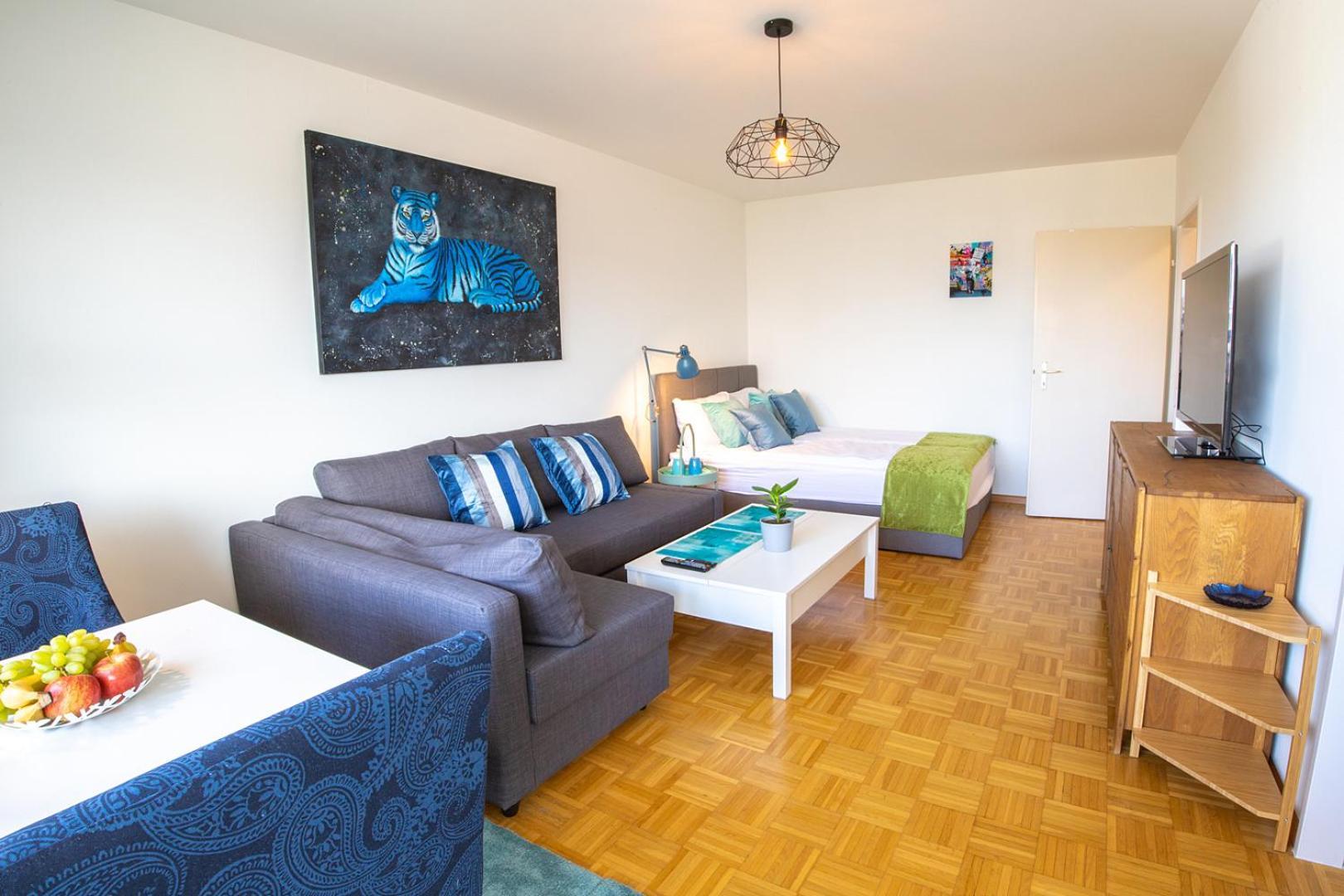 Special Blue Tiger Basel, Messe Kleinbasel 10-star Apartamento